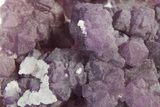 Rich Purple Octahedral Fluorite Crystals w/ Druzy Quartz - Arizona #368386-1